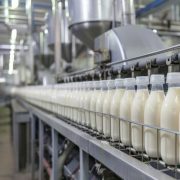 Production_line_of_milk_and_yogurt_at_dairy_processing_plant_royalty